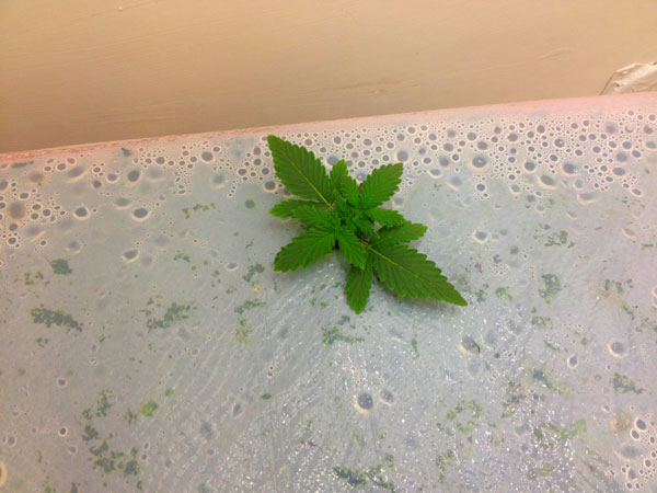 photo33.jpg