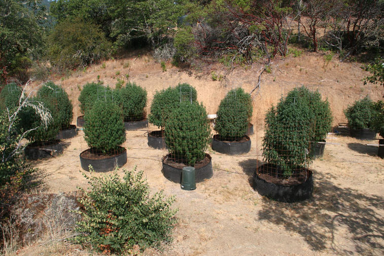 outdoor 2.jpg