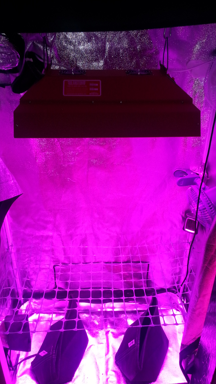2012-09-13 23.07.30.jpg