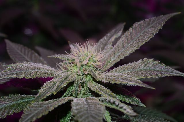DSC_0304 [640x480].JPG