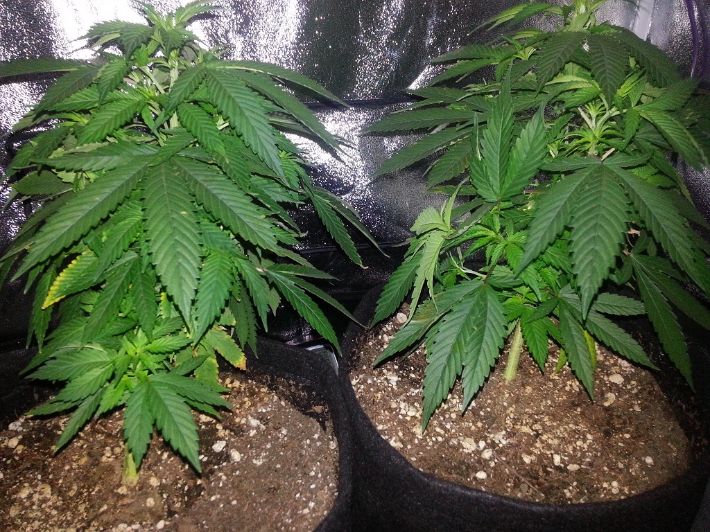 2012-10-06 17.29.26.jpg