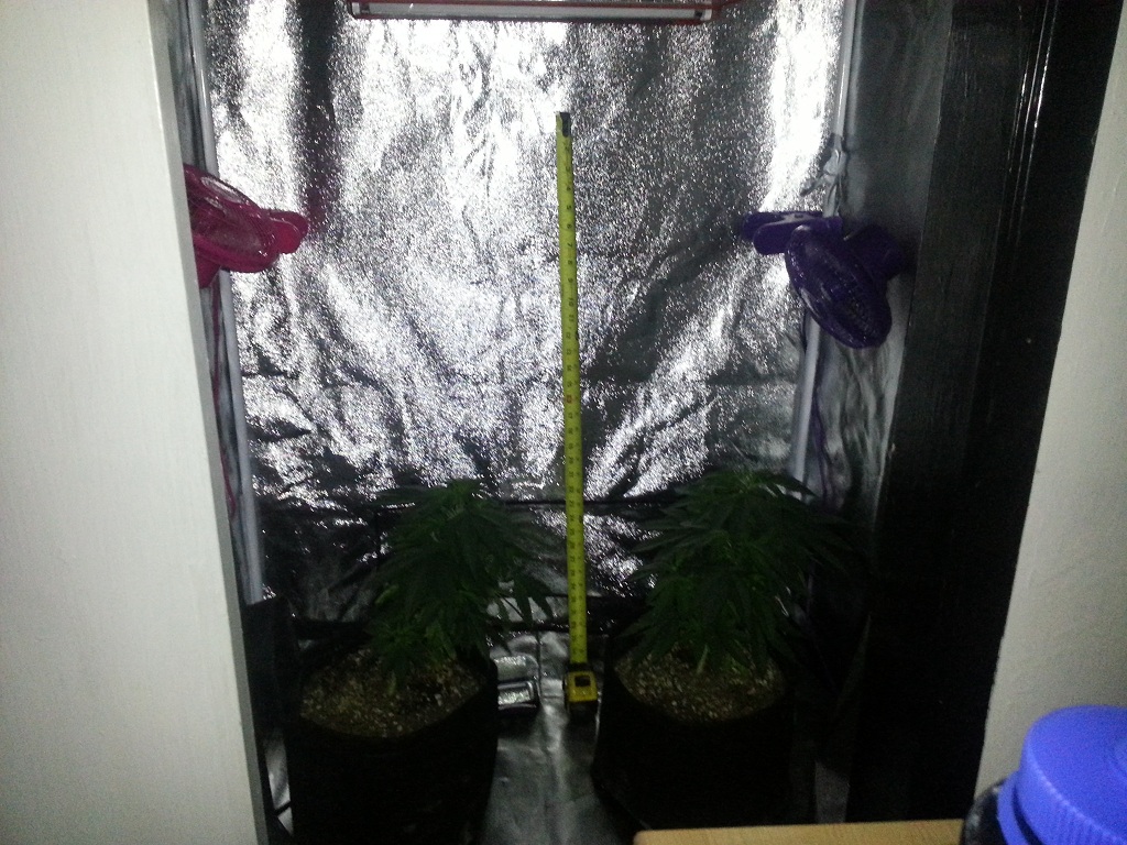 2012-10-06 17.18.56.jpg