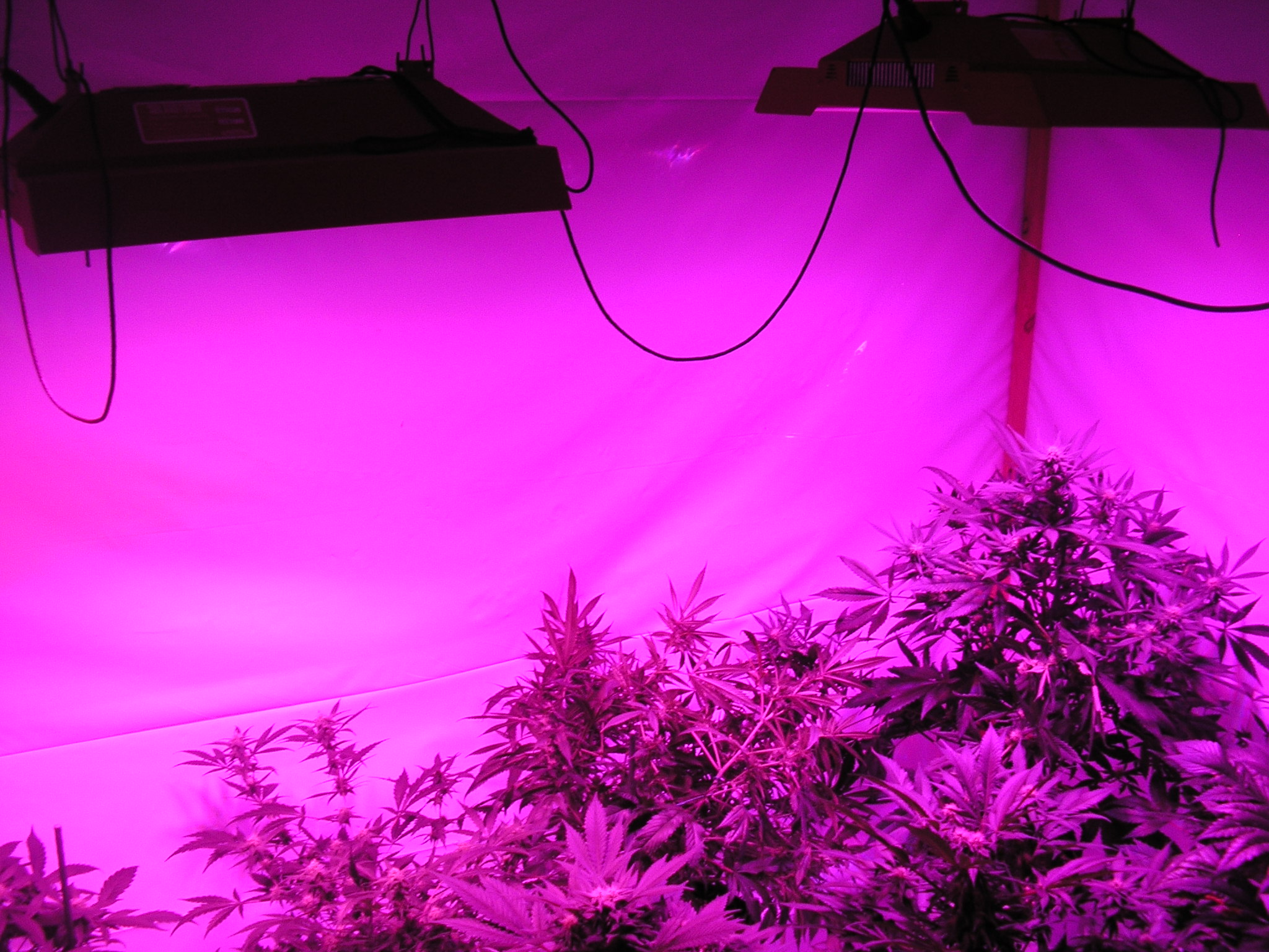 led 12-13-12 006.JPG