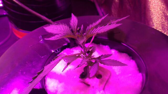 IMG_2013020948294.jpg