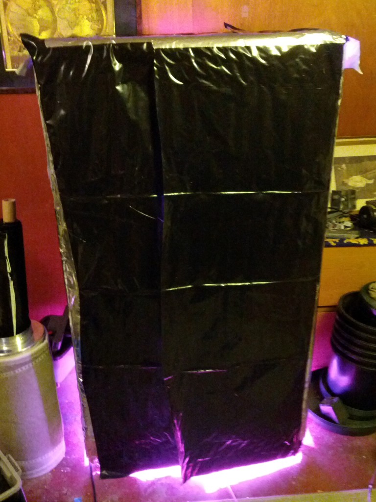 IMG_20130209_210648.jpg