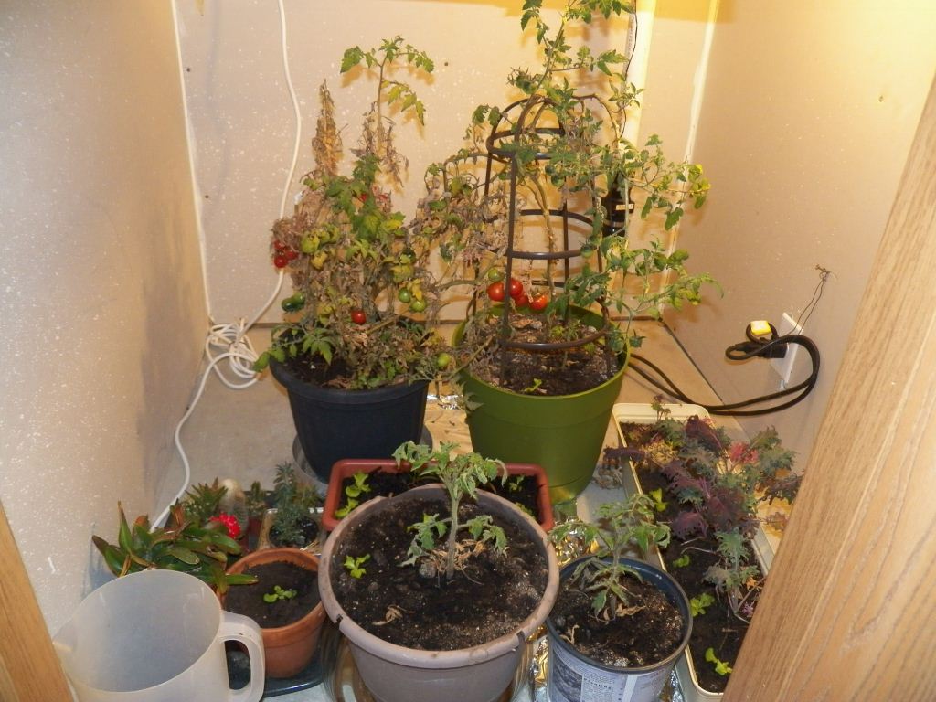 100_1066.JPG
