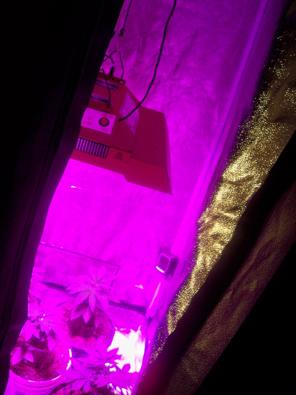 100_3354 (600x800).jpg