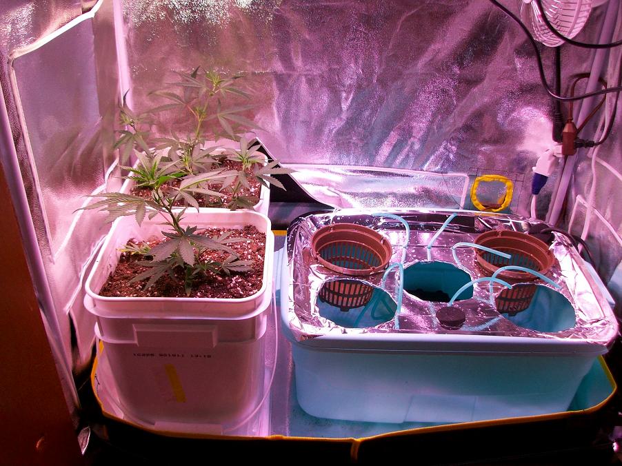 420 Tent 004.JPG