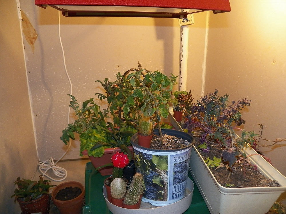 100_1069.JPG