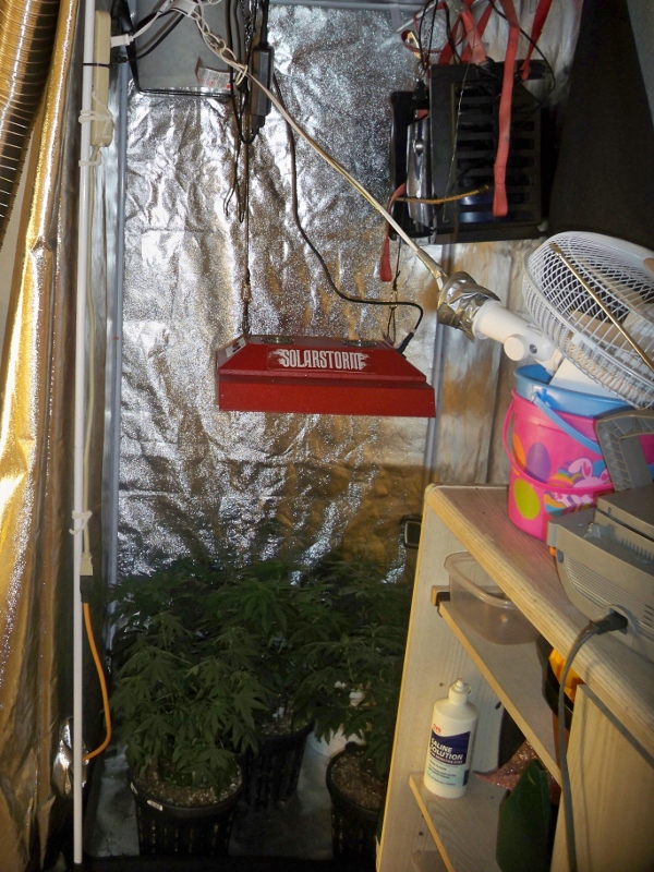 100_3539 (600x800).jpg
