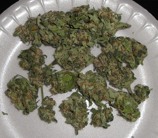 auto_white cheese_jar_    4-14-13_1.jpg