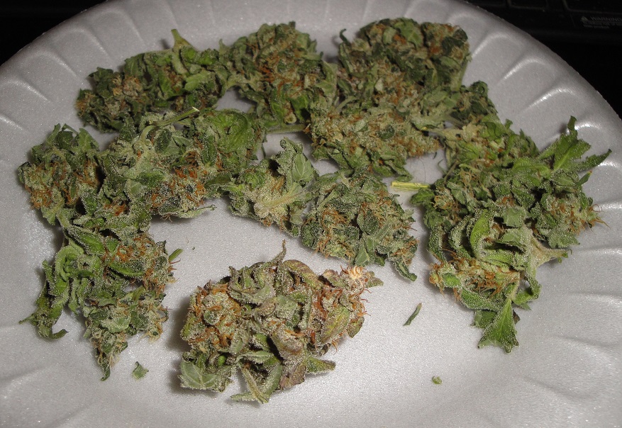 auto_white cheese_jar_    4-14-13_3.jpg