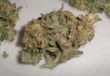 auto_white cheese_jar_    4-14-13_3a.jpg