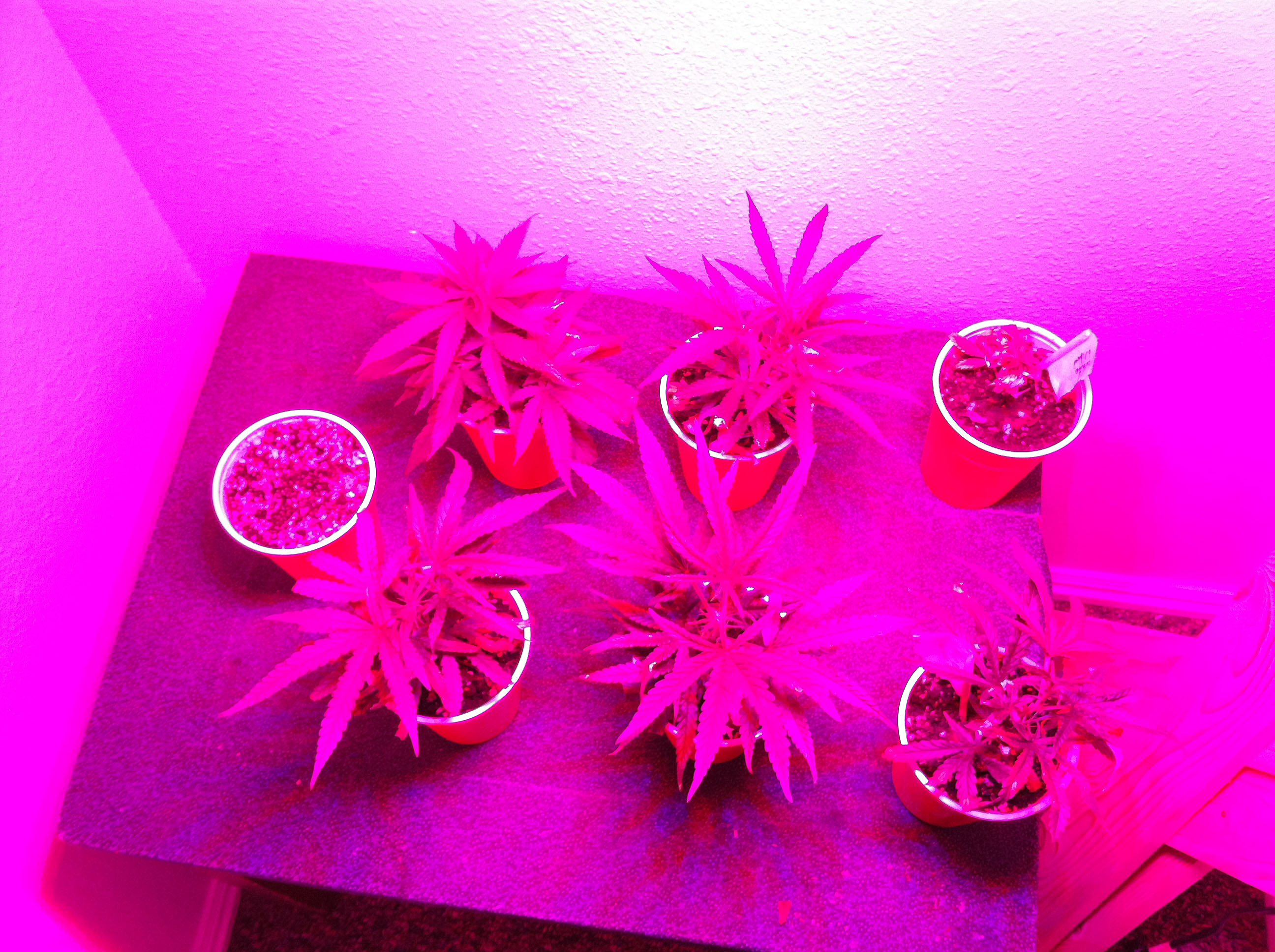4.22.13 180W.jpg