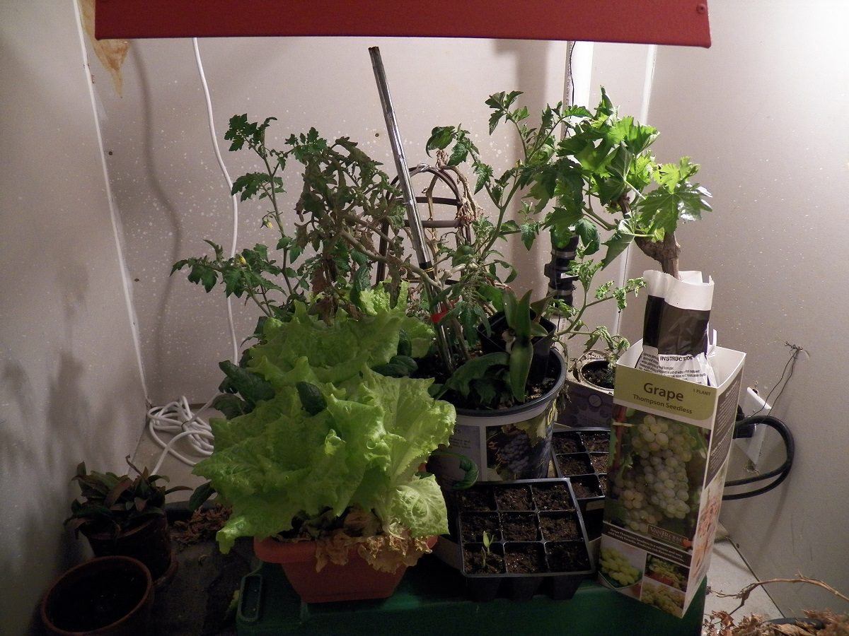 101_0007.JPG