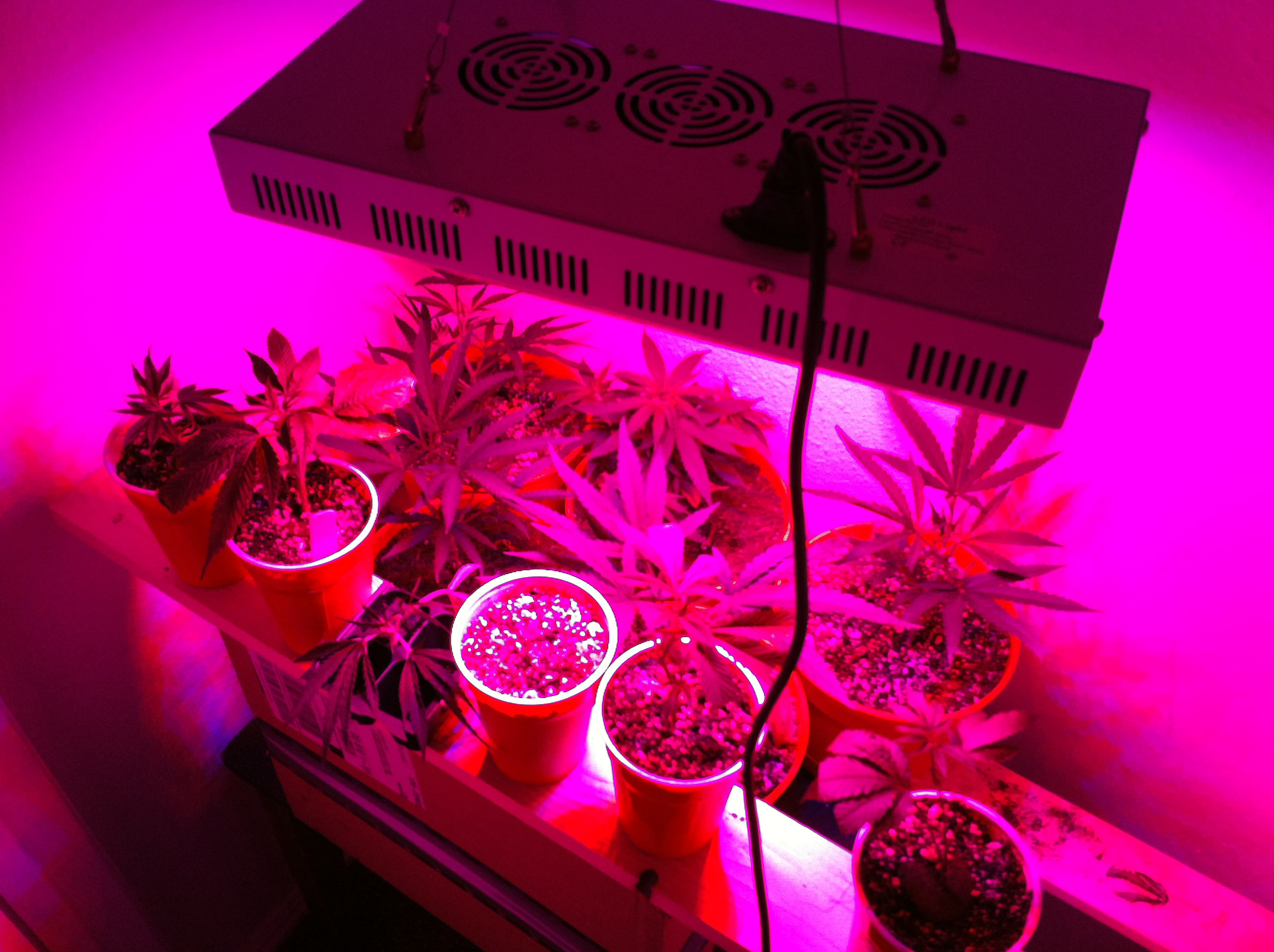 4.29.13 180W.jpg