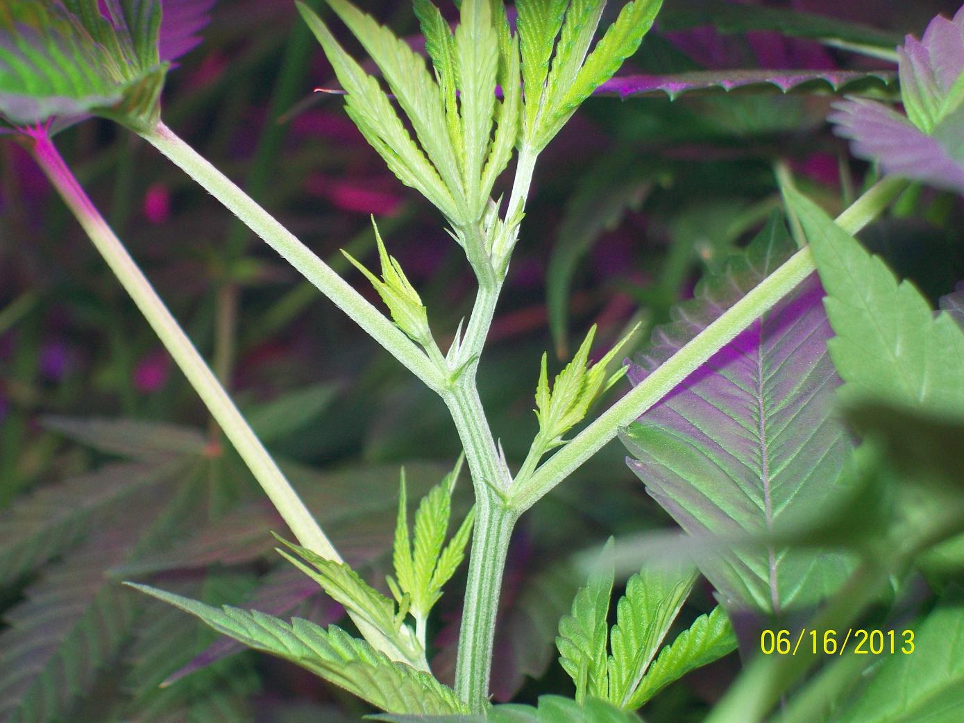 100_4008.jpg