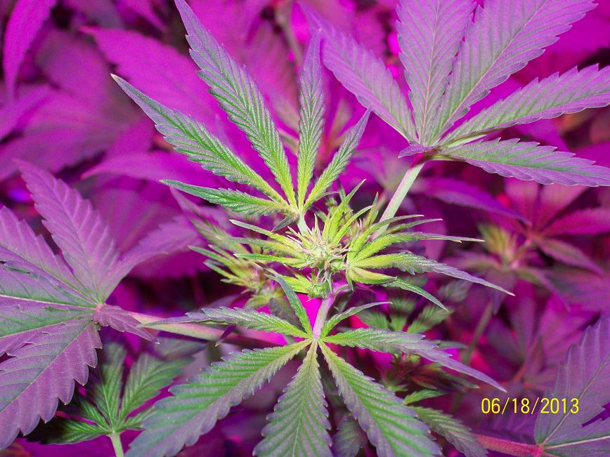 100_4050.jpg