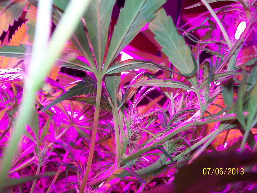 100_4150.jpg