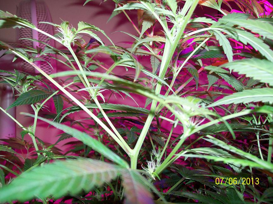 100_4165.jpg