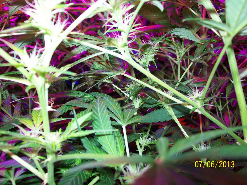 100_4148.jpg
