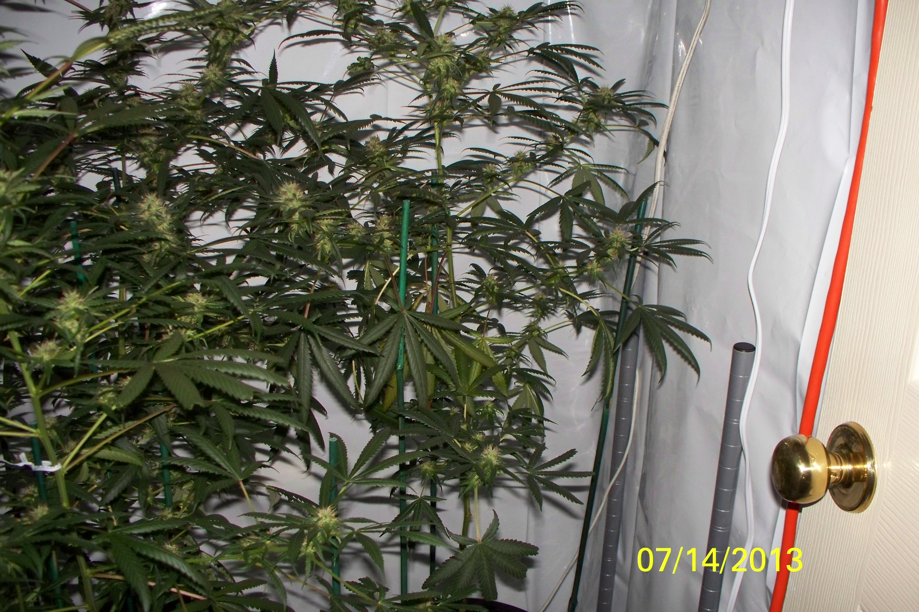 100_1205.jpg