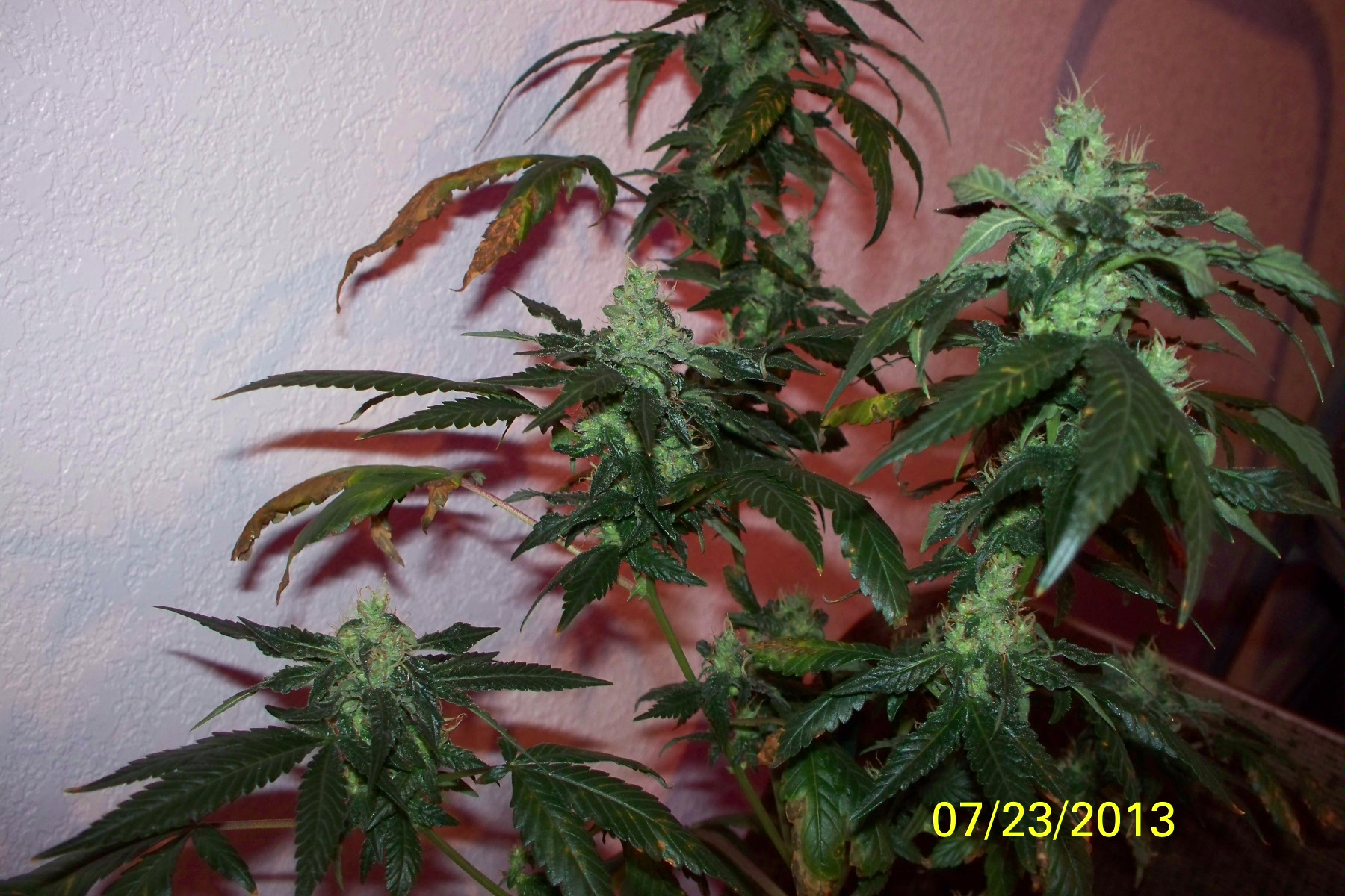 100_1254.jpg
