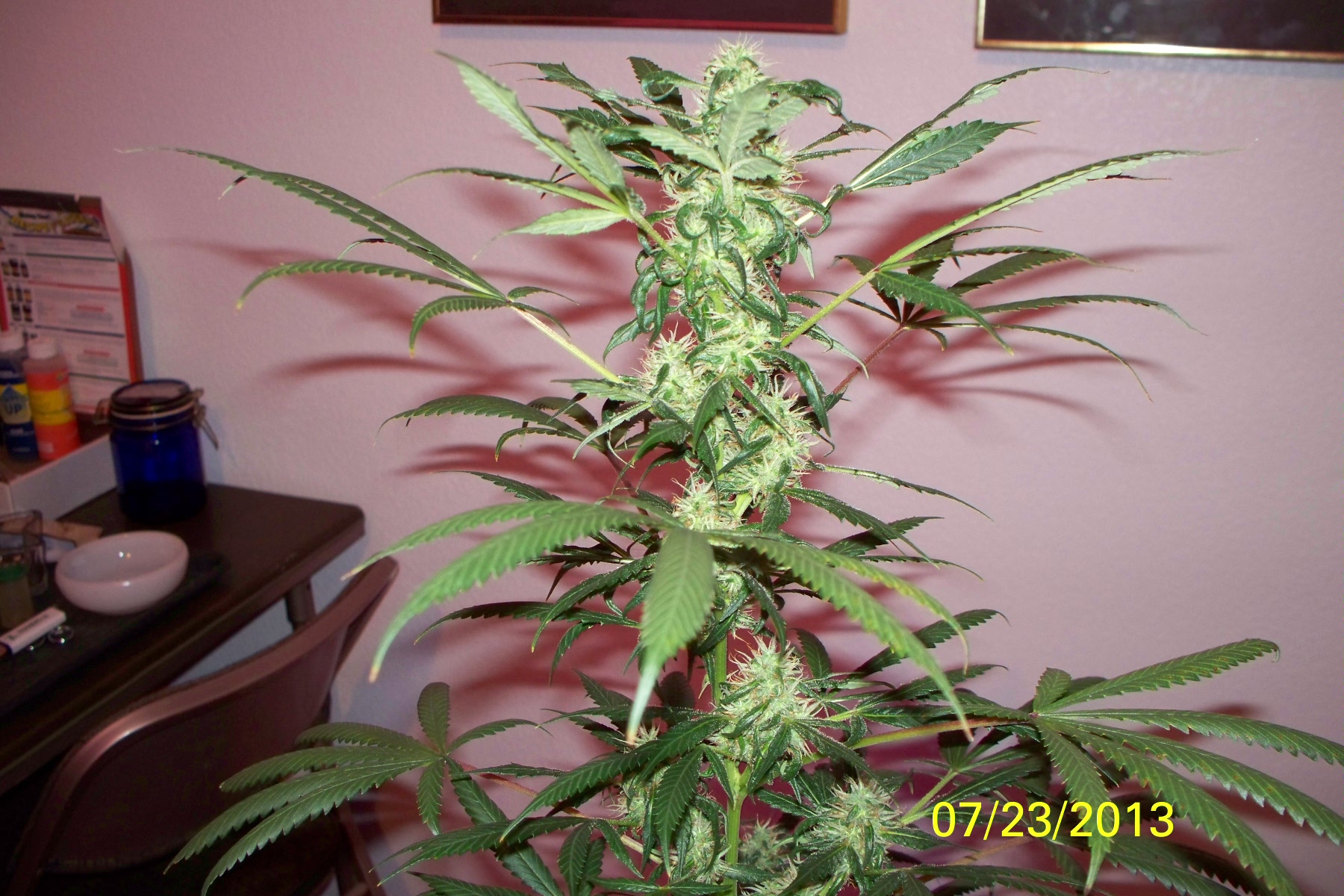 100_1248.jpg