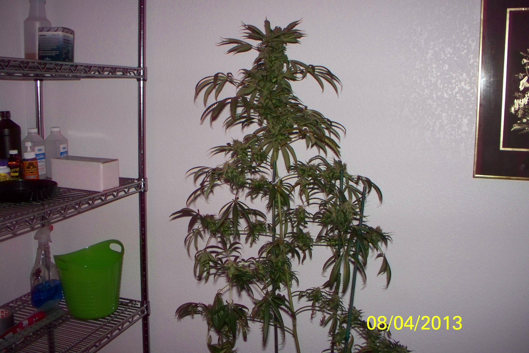100_1274.jpg