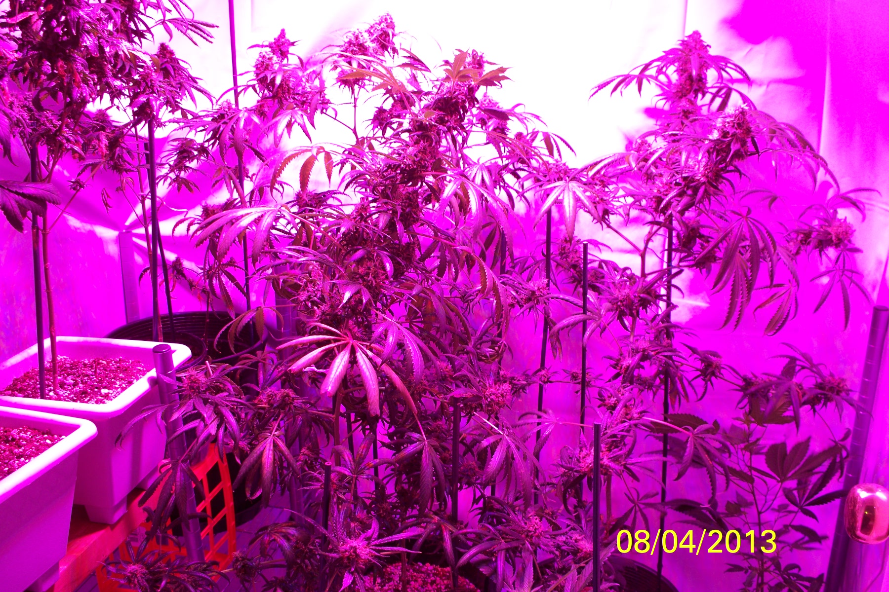 100_1294.jpg