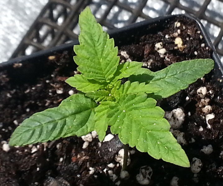 8-5-13 -  1.jpg