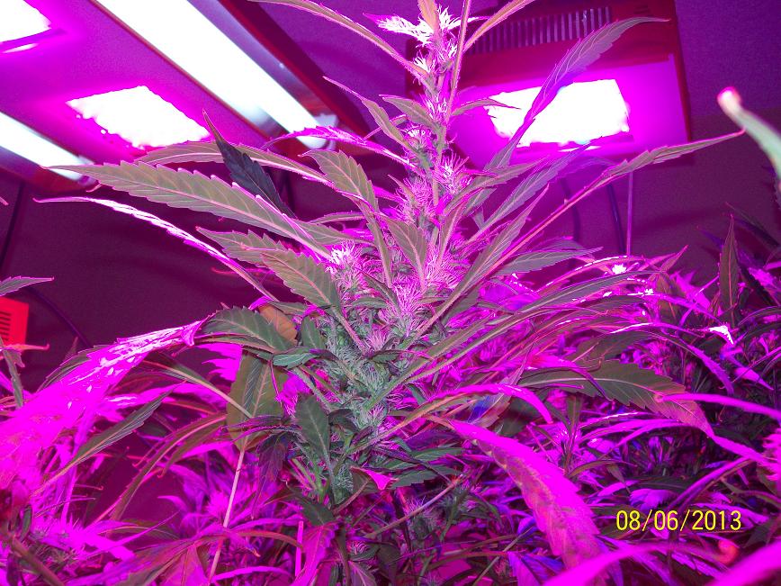 100_4298.jpg