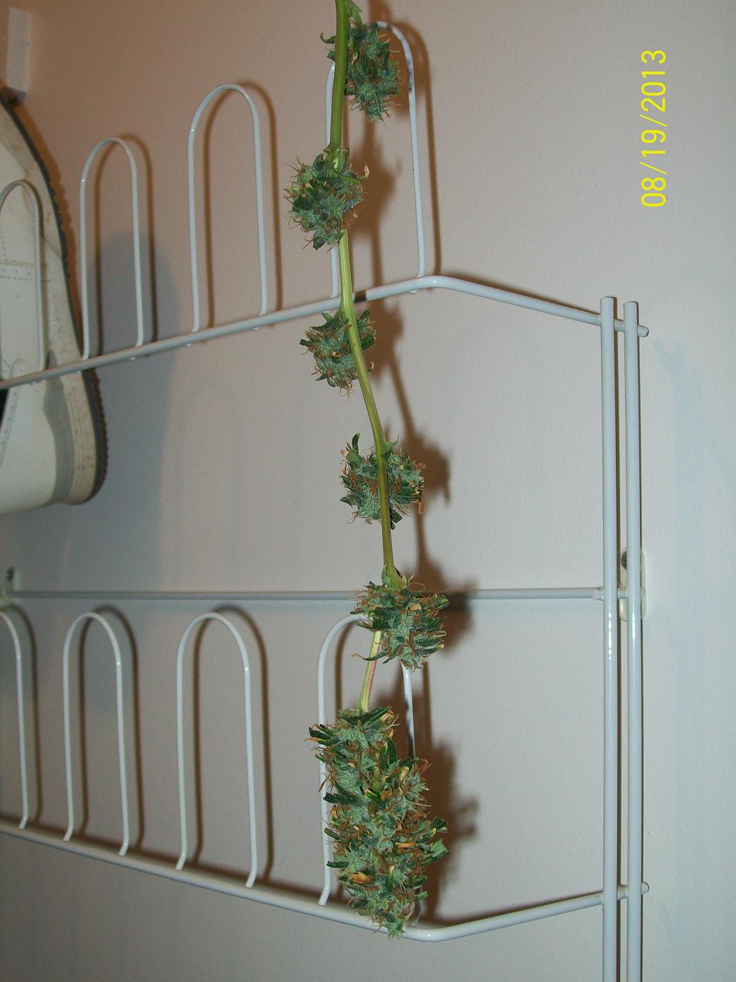 100_4364.jpg