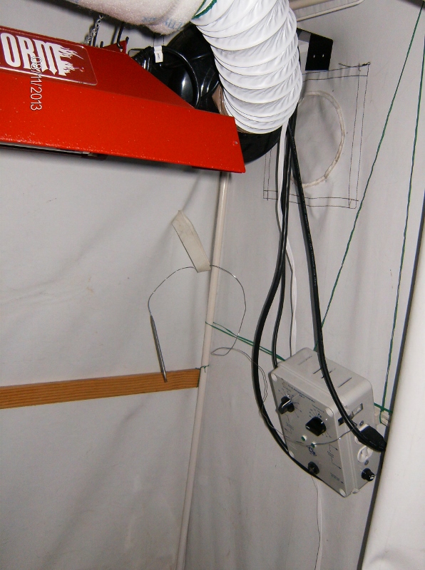 HPIM1033 (596x800).jpg