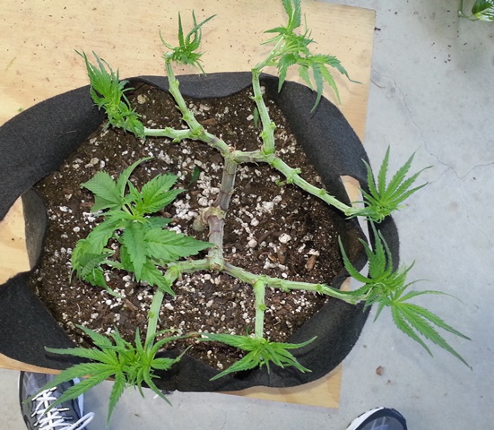 20130922_111907.jpg