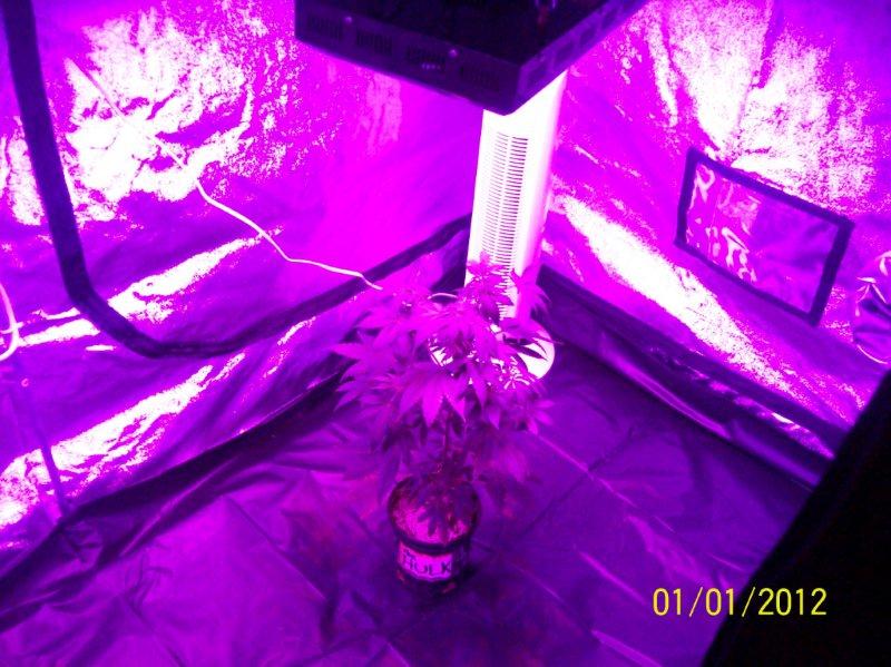100_5696.jpg