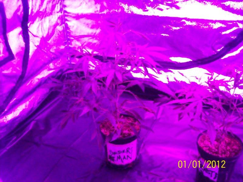 100_5697.jpg
