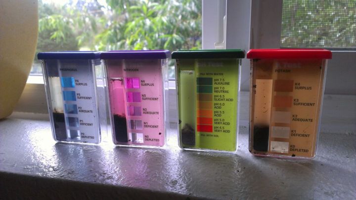 Wk 4 Ocean forest soil test.jpg