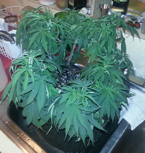 20131009_175227.jpg