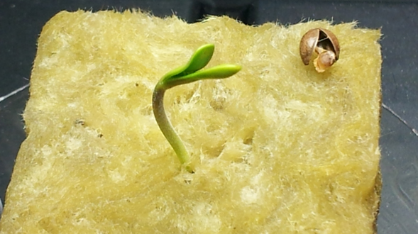 20130915_030323Cr.jpg