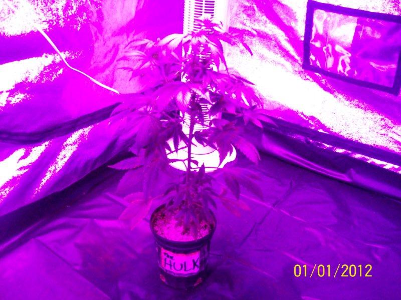 100_5699.jpg