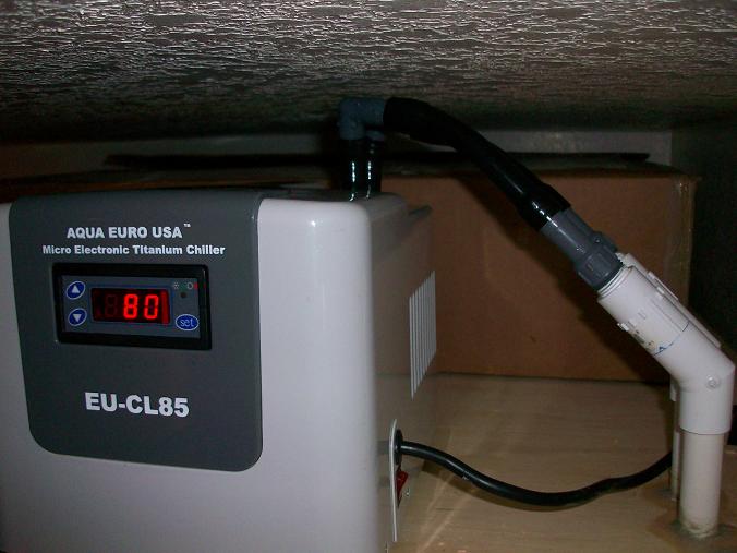 chiller 003.JPG