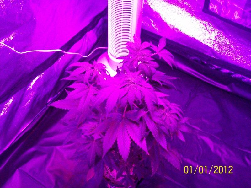 100_5700.jpg