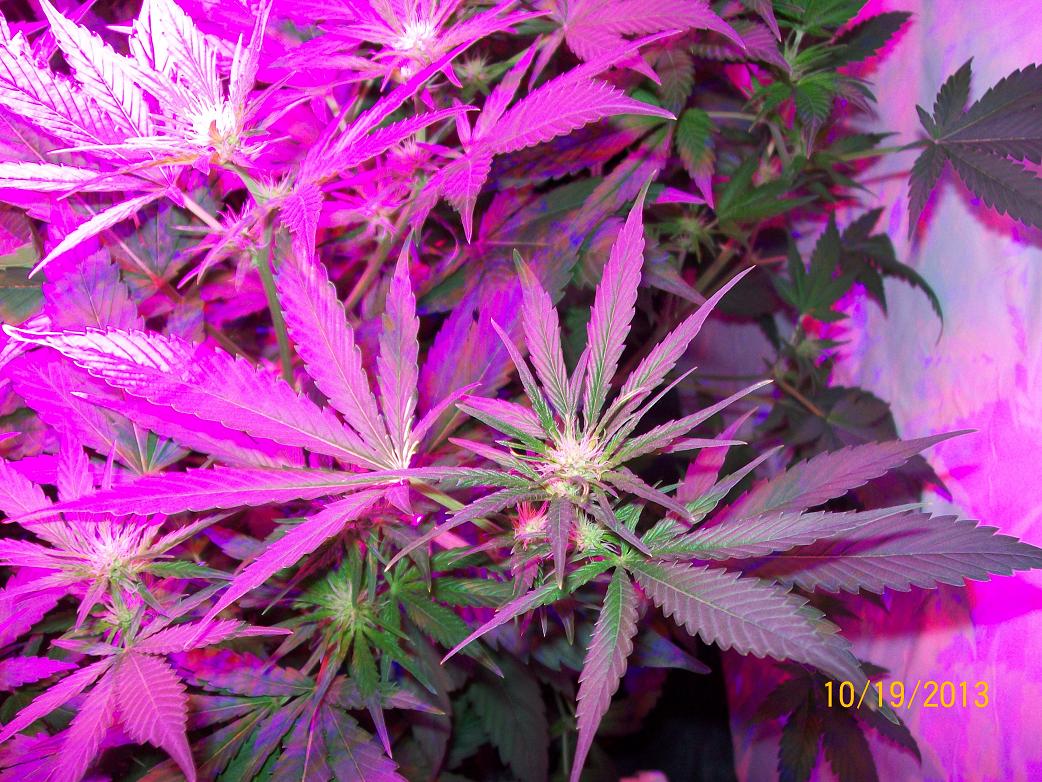 100_4567.jpg