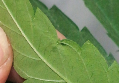 20131006_014208Cr.jpg