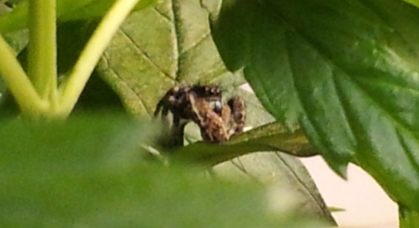 20131008_035050Cr.jpg