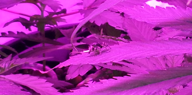 20131005_011527Cr.jpg