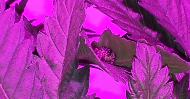 20131004_202920Cr.jpg
