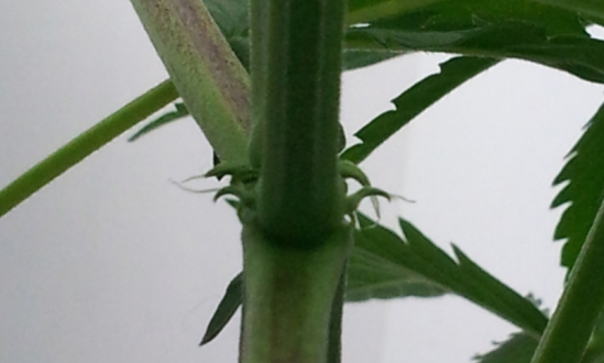 20131009_153012Cr.jpg
