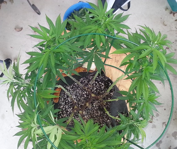 20131021_164325.jpg